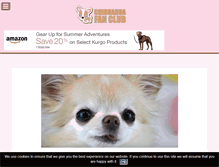 Tablet Screenshot of chihuahuafanclub.org